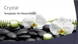  Presentation with fern - Presentation featuring pebbles and orchid with fern background and a white colored foreground