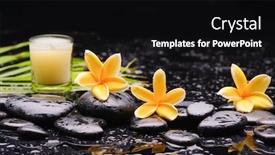  Presentation with frangipani flowers - Presentation design enhanced with spa-still-life-with-yellow background and a black colored foreground