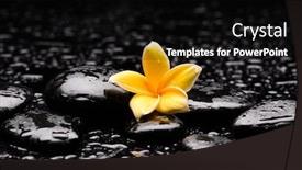  Presentation with frangipani flowers - Presentation design having spa-still-life-with-yellow background and a black colored foreground
