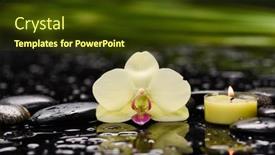  Presentation with black yellow - Presentation design featuring spa-still-life-with-yellow background and a  colored foreground