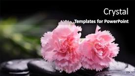  Presentation with zen - Presentation design enhanced with spa-still-life-with-zen background and a black colored foreground