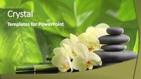  Presentation with bamboo flower - Colorful theme enhanced with spa still life with zen backdrop and a tawny brown colored foreground
