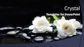  Presentation with zen - Cool new slide set with spa-still-life backdrop and a black colored foreground
