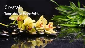  Presentation with spa stones leaves - Colorful presentation design enhanced with spa-still-life backdrop and a black colored foreground