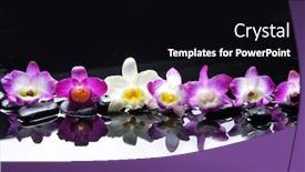  Presentation with zen stones - Presentation design enhanced with spa-still-life background and a black colored foreground