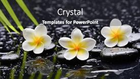  Presentation with spa stones leaves - Presentation theme featuring spa-still-life background and a dark gray colored foreground