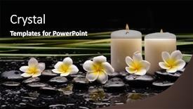  Presentation with green life - PPT theme having spa-still-life background and a black colored foreground