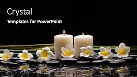  Presentation with green life - Presentation design featuring spa-still-life background and a black colored foreground