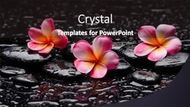  Presentation with zen - PPT theme enhanced with spa-still-life background and a wine colored foreground