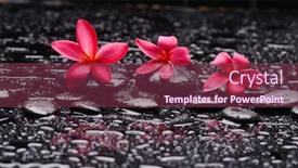  Presentation with still life crucifixion table - Colorful presentation enhanced with spa-still-life backdrop and a violet colored foreground