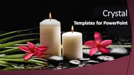  Presentation with green life - Theme enhanced with spa-still-life background and a black colored foreground