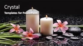  Presentation with pink green - Slide set consisting of spa-still-life background and a black colored foreground