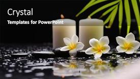  Presentation with green life - PPT theme enhanced with spa-still-life background and a black colored foreground