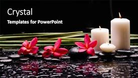  Presentation with green life - Colorful presentation theme enhanced with spa-still-life backdrop and a black colored foreground