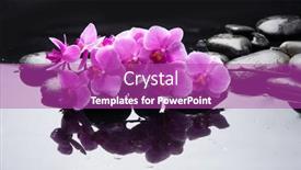  Presentation with still life crucifixion table - Audience pleasing theme consisting of spa-still-life backdrop and a purple colored foreground