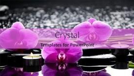  Presentation with pink green - Beautiful PPT layouts featuring spa-still-life backdrop and a lilac colored foreground