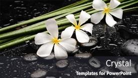  Presentation with spa stones leaves - Amazing PPT theme having spa-still-life backdrop and a dark gray colored foreground