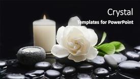  Presentation with zen - Presentation theme having spa-still-with-white-gardenia background and a black colored foreground