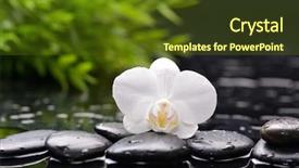  Presentation with orchid - Beautiful PPT theme featuring spa still with white orchid backdrop and a tawny brown colored foreground