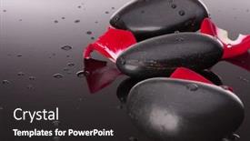  Presentation with spa concept stone - Colorful presentation theme enhanced with spa stone and flower petal still life healthcare concept backdrop and a dark gray colored foreground