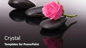  Presentation with spa concept stone - Presentation enhanced with spa stone and rose flowers still life healthcare concept background and a wine colored foreground