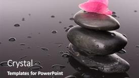  Presentation with spa concept stone - Presentation consisting of spa stone and rose flowers still life healthcare concept background and a dark gray colored foreground