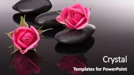  Presentation with spa concept stone - Presentation theme enhanced with spa stone and rose flowers background and a wine colored foreground