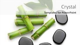  Presentation with bamboo - Amazing PPT theme having taoism - spa stones and bamboo isolated backdrop and a white colored foreground