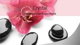  Presentation with orchids - Slides having spa stones and beautiful pink background and a coral colored foreground