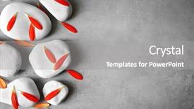  Presentation with chrysanthemum - Beautiful PPT layouts featuring spa stones and chrysanthemum petals backdrop and a gray colored foreground