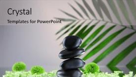  Presentation with spa stones leaves - Presentation design consisting of spa stones and green palm background and a light gray colored foreground