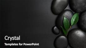  Presentation with spa stones leaves - Presentation featuring spa stones and leaves background and a black colored foreground