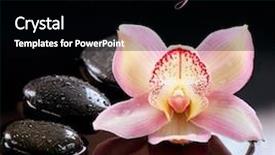  Presentation with orchid - Colorful slide set enhanced with smarthome - smart home word cloud concept backdrop and a lemonade colored foreground