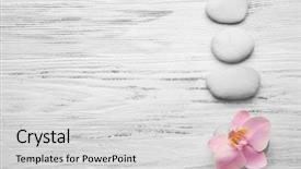  Presentation with orchid - PPT layouts with spa stones and orchid flower background and a  colored foreground