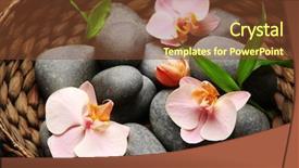  Presentation with orchid - Cool new theme with spa stones and orchid flowers in wicker basket backdrop and a tawny brown colored foreground