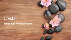  Presentation with purple orchids pink flowers orchid - Audience pleasing presentation consisting of spa stones and orchid flowers backdrop and a coral colored foreground