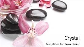  Presentation with orchid - Amazing slides having spa stones and orchid flowers backdrop and a white colored foreground
