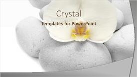  Presentation with orchid - Slide deck with spa-stones-and-orchid background and a sky blue colored foreground