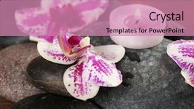  Presentation with orchids - Colorful presentation design enhanced with spa stones and orchids closeup backdrop and a coral colored foreground