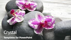  Presentation with purple orchids - Beautiful PPT layouts featuring spa stones and orchids backdrop and a dark gray colored foreground