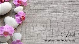 Presentation with orchids - Beautiful presentation theme featuring spa stones and orchids backdrop and a light gray colored foreground