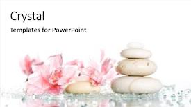  Presentation with blooming lotus flower of pink - PPT layouts featuring spa stones and pink flower background and a white colored foreground