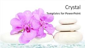  Presentation with blooming lotus flower of pink - Presentation theme featuring spa stones and pink flower background and a white colored foreground