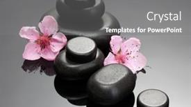  Presentation with sakura - 