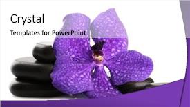  Presentation with stones - Cool new slide deck with spa stones and purple flower backdrop and a white colored foreground