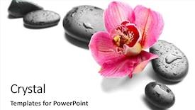  Presentation with orchid - Slides enhanced with spa stones and red orchid background and a white colored foreground