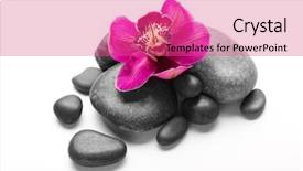  Presentation with orchids orchid red orchid orchid - PPT theme featuring spa stones and red orchid background and a  colored foreground