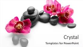  Presentation with orchid - Beautiful slides featuring spa stones and red orchid backdrop and a  colored foreground