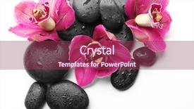  Presentation with orchid - PPT layouts with spa stones and red orchid background and a violet colored foreground