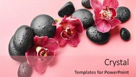  Presentation with orchid - Slides enhanced with spa stones and red orchid background and a coral colored foreground